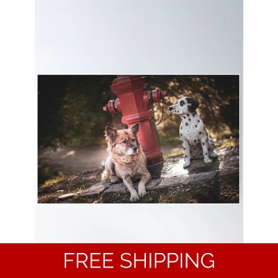 Le Studio Poster Rush Signals Statue 2 Dogs